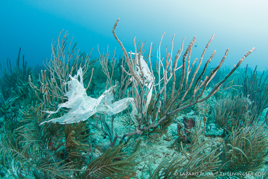 121107-143207-0132 121107-143207-0132